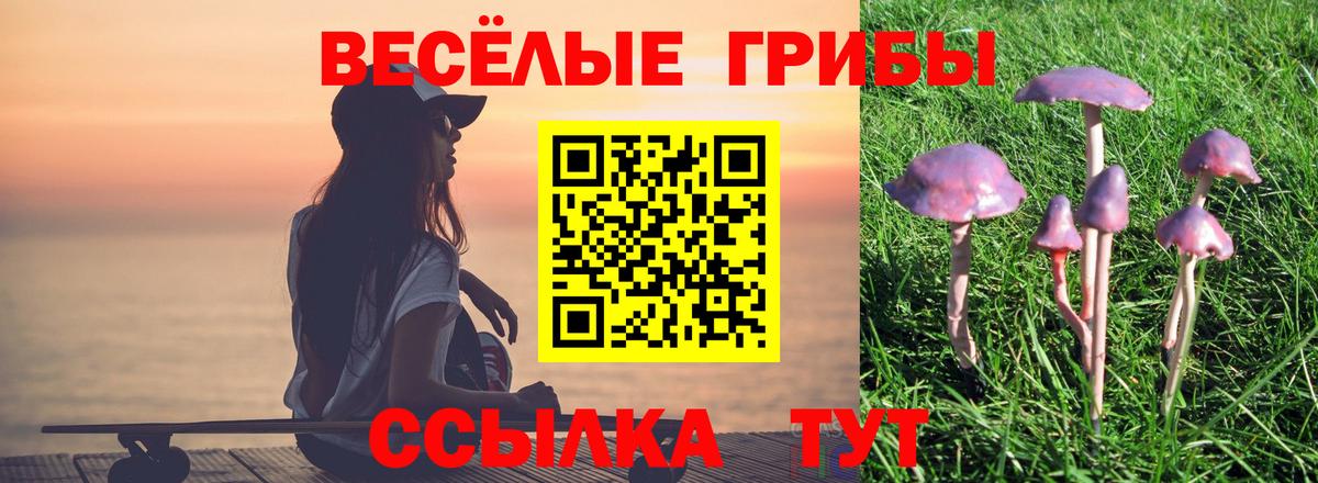 Лабинск  Псилоцибиновые грибы ЛСД  Вход с VPN 