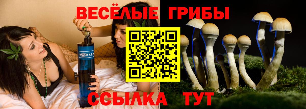 Псилоцибиновые грибы GOLDEN TEACHER Лабинск